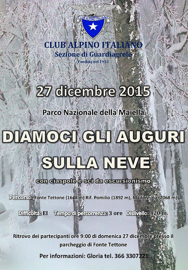 2015 12 27 auguri sulla neve