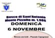 2016 11 06 bosco sant atonio