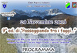 2016 11 20 passeggiando tra i faggi