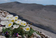 2018 08 05 rifugio femmina morta